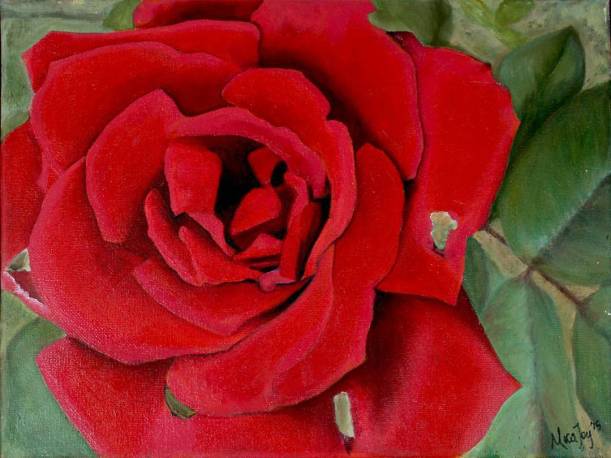 15995152_10101883865810016_3009439912091177009_o