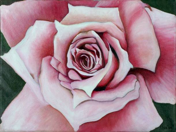 15995305_10101883868060506_5880069166952158362_o