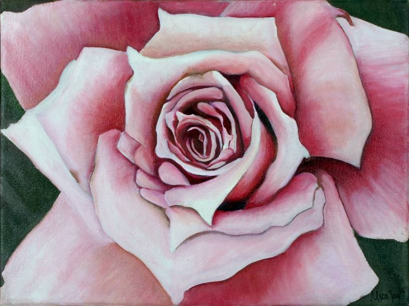 15995305_10101883868060506_5880069166952158362_o