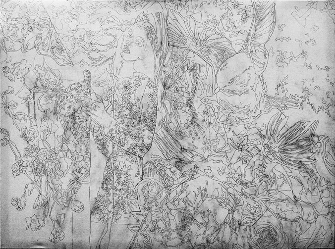 Mica Joy Do You Suppose She Is A Wildflower Drawing